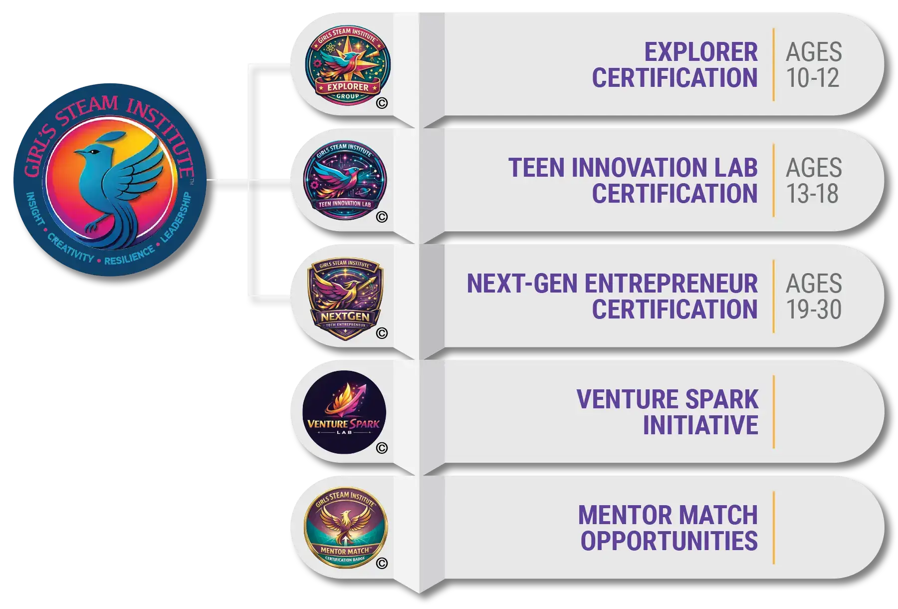 GSI certification levels graphic